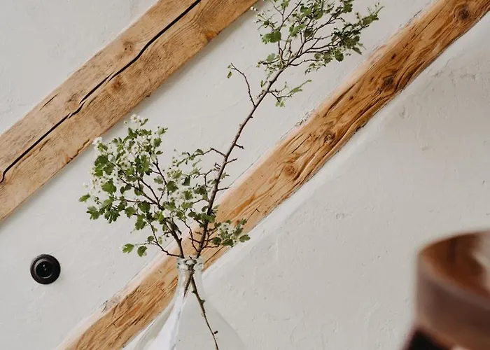 Gospodarstwo Ekoturystyczne Artystyka Apartment Bystrzyca Klodzka